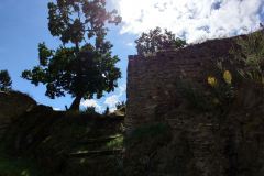 IMG_20200707_135203699_HDR