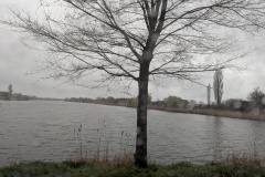 PXL_20250311_125157203