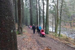 IMG_20181124_125824784