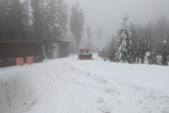 PXL_20250116_095545221