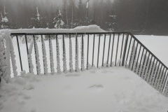 PXL_20250116_105254057