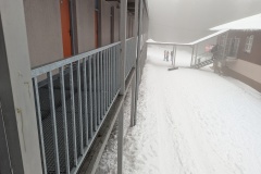 PXL_20250116_105306629