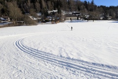 PXL_20250119_090336254